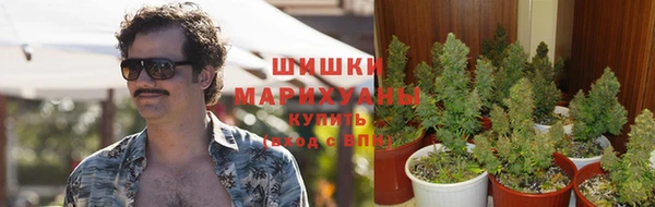 кокаин Белокуриха